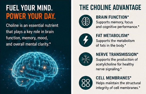 Choline Bitartrate 900 mg – 90 Capsules | KRK Supplements